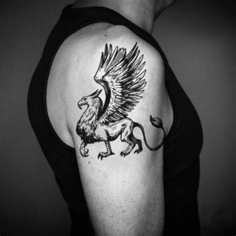 Griffin Gryphon Temporary Tattoo Sticker - OhMyTat