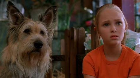 The 101 Greatest Dogs in Film History - Consequence