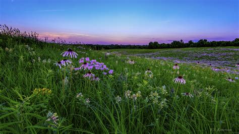 National Prairie Day - Missouri Prairie Foundation