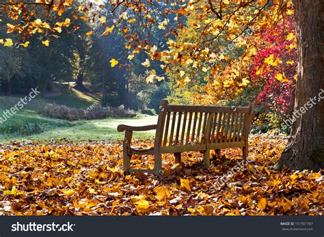 Bench Autumn Park Autumn Landscape Stock Photo 151501787 - Shutterstock