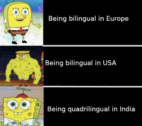 40 Funny Polyglot Memes That Will Have Multilinguals Laughing In Every Language (September 25, 2024)