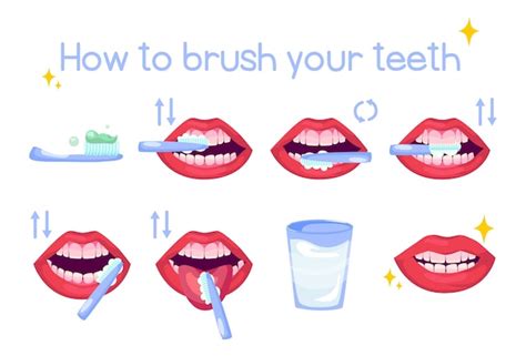 Free Vector | Instruction on how to brush teeth cartoon illustration ...