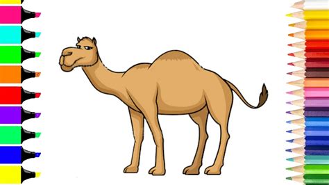 How to draw a Camel and Color | Camel Coloring Page | Animals Coloring Pages - YouTube