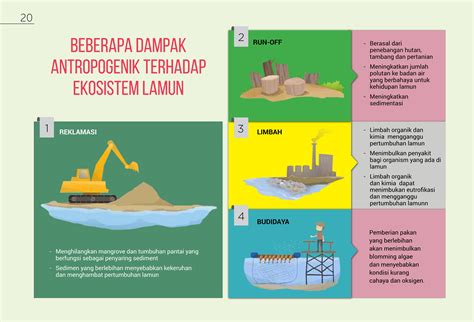 Lamun dan Dugong untuk Bahari yang Lebih Lestari – Denai Ghozaliq