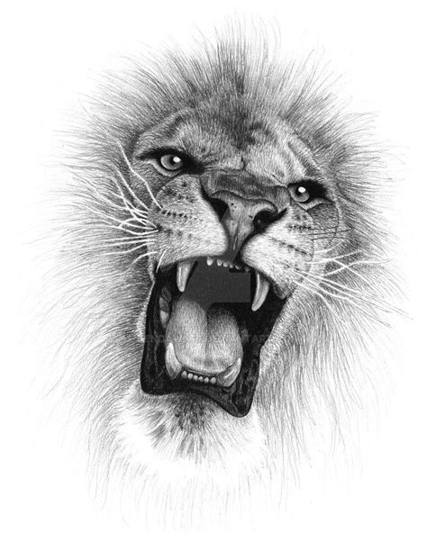 Lion Roar by jendawn77 on DeviantArt