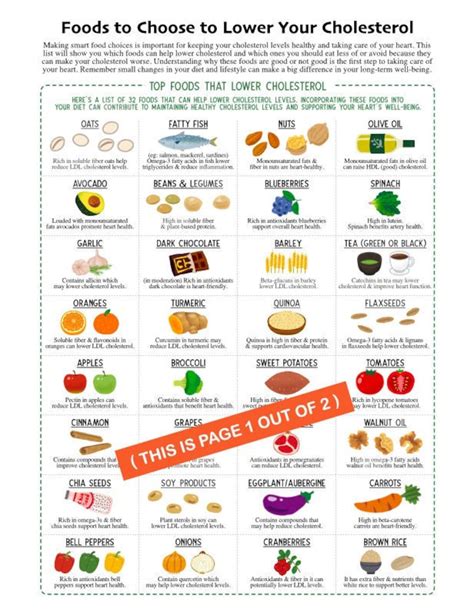 Foods to Lower Cholesterol Guide/ Chart, 2 Page Pdf PRINTABLE DOWNLOADS ...