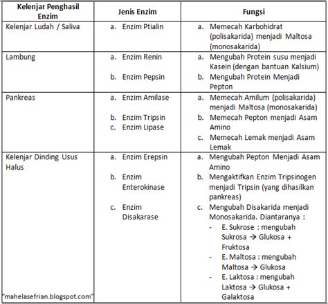 Enzim Pada Sistem Pencernaan - Homecare24