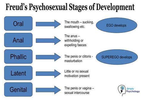 Freud's Stages of Human Development: 5 Psychosexual Stages