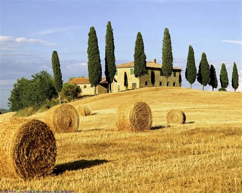 Ricordi d’estate | Oltre il cancello