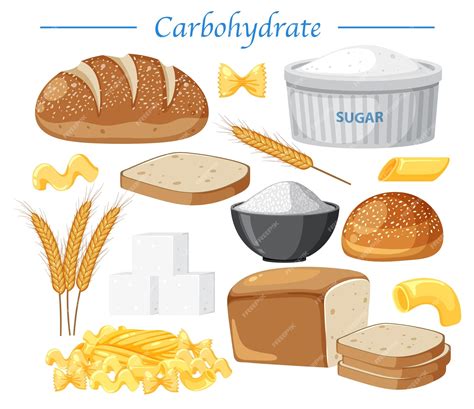 Premium Vector | Variety of carbohydrates foods vector