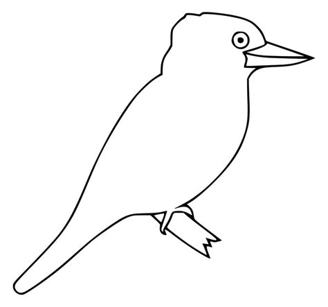 Blue Winged Kookaburra - Coloring Pages