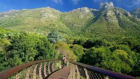 Kirstenbosch National Botanical Gardens Pictures: View Photos & Images ...