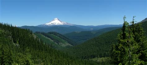 File:Mt Hood Natl Forest.jpg - Wikipedia