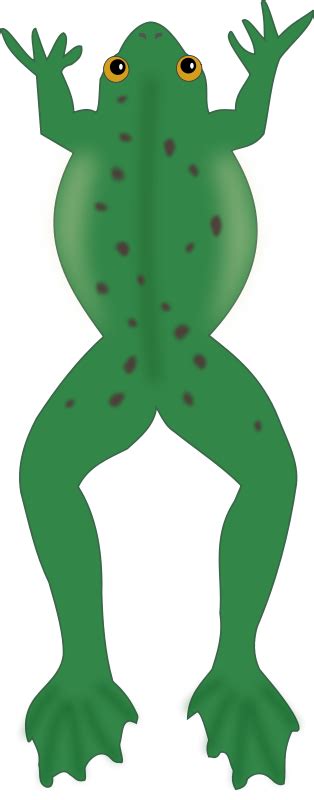 Free Clipart: Frog | Moini