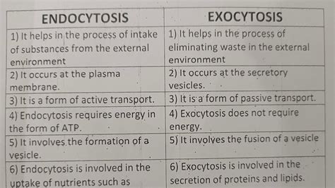 Difference Between Endocytosis And Exocytosis?-Class Series - YouTube