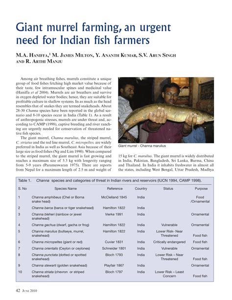 (PDF) Giant Murrel Farming an Urgent Need for Indian Fish Farmers