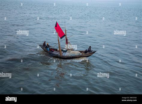 Hilsha fishing at the Meghna River. Hilsha fish is the national fish of ...