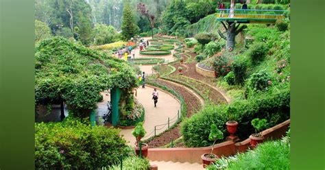 What To Do In Ooty, Tamil Nadu | Little Black Book, Bangalore