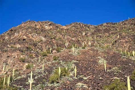 Earthline: The American West: Woolsey Peak, 3,171' (Gila Peak Benchmark ...