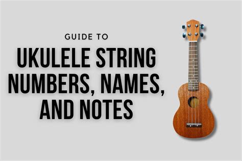 Guide To Numbers, Notes, And Names of Ukulele Strings