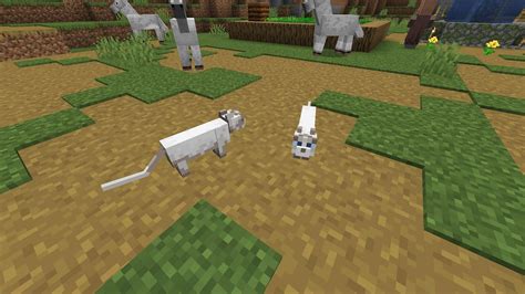 5 interesting facts about Minecraft cats