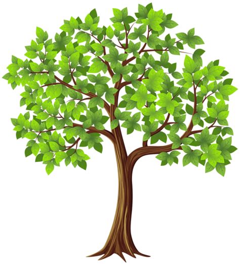 Tree Branch Clip art - tree png download - 544*600 - Free Transparent Tree png Download. - Clip ...