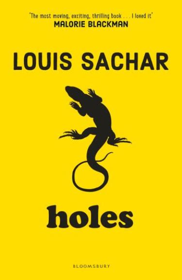 Buy Book - HOLES | Lilydale Books