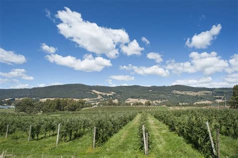 Free Stock photo of Tasmanian apple farm | Photoeverywhere