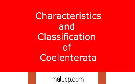 Characteristics and Classification of Coelenterata - Imaluop - IMALUOP