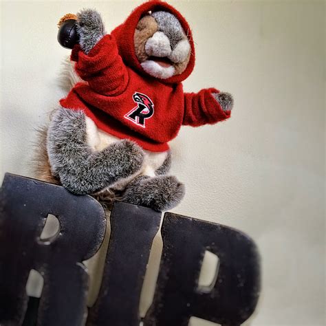 Ripon College to Phase Out Red Hawk Mascot in Favor of Squirrel | Ripon ...