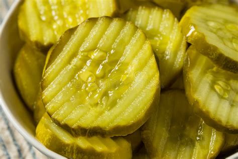 Homemade Preserved Dill PIckle Slices Stock Image - Image of organic, food: 268646607