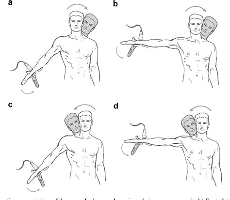 Cubital Tunnel Syndrome Exercises To Avoid - Captions More