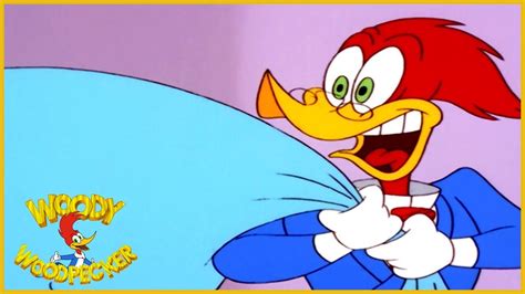 Woody Woodpecker Cartoon Network