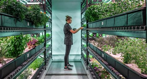 The Most Innovative Vertical Farming Companies Of The Decade — AGRITECTURE