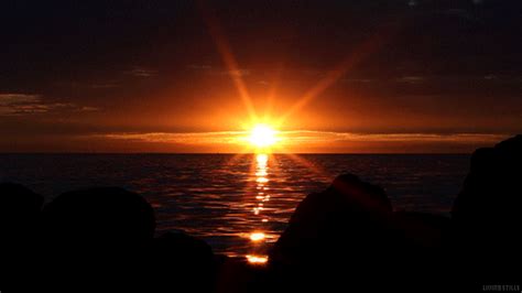 Sunset Waves GIF by Living Stills - Find & Share on GIPHY