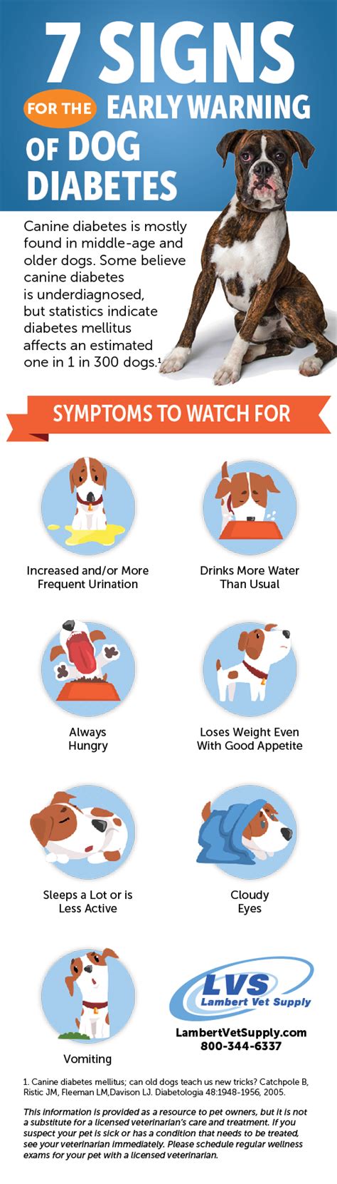 Seven Signs for Early Warning of Dog Diabetes | Well Pet Post | Lambert ...