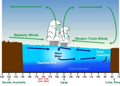 Ocean Upwelling | Definition, Occurrence & Zones - Video & Lesson ...