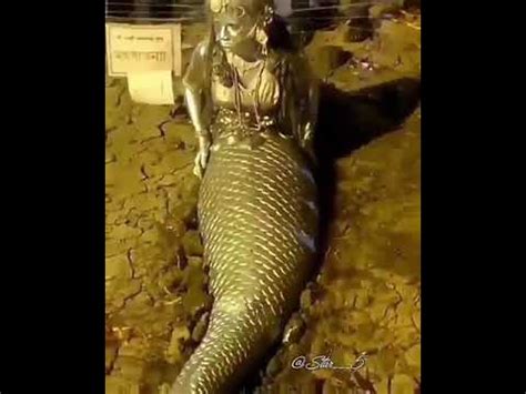 Mermaid in Ghana??? Real or not? - YouTube