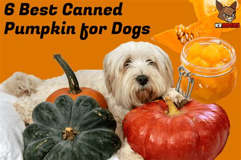 6 Best Canned Pumpkin for Dogs - K9 Rocks