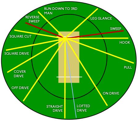 File:Cricket shots.png - Wikimedia Commons