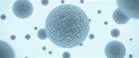 Oocyte retrieval from an anonymous donor - inviTRA – Egg and sperm donation