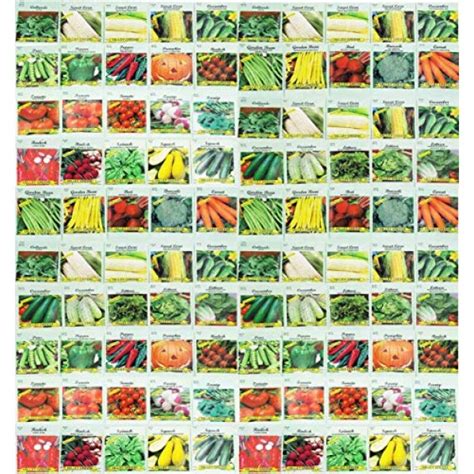 100 Assorted Heirloom Vegetable Seeds 100% Non-GMO (100,