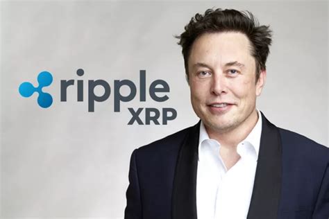 Elon Musk handed Ripple 'the best ad campaign' for XRP in 2021 | Best ads, Ad campaign, Campaign