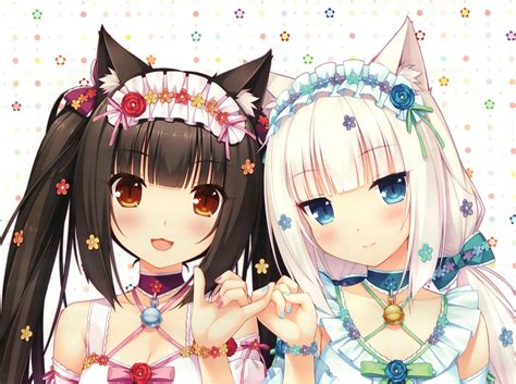 Wallpaper : illustration, flowers, choker, white hair, anime girls, animal ears, blue eyes ...