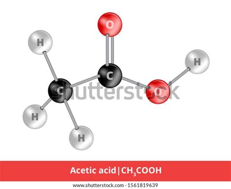 612 Acetic Acid Fermentation Images, Stock Photos & Vectors | Shutterstock