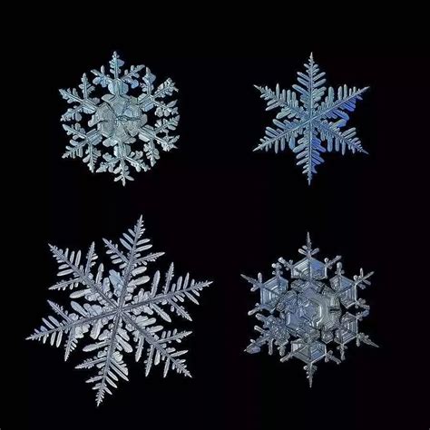 分形 雪花 - Google 搜索 | Snowflake pictures, Snowflakes real, Snowflakes