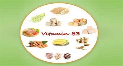 5 Vitamin B3 rich foods to eat to keep yourself healthy | TheHealthSite.com