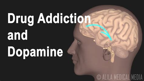 Mechanism of Drug Addiction in the Brain, Animation. - YouTube