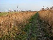 Category:Martham Broad - Wikimedia Commons