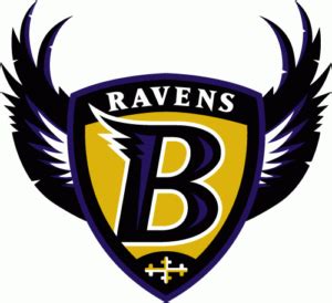 Baltimore Ravens Color Codes Hex, RGB, and CMYK - Team Color Codes